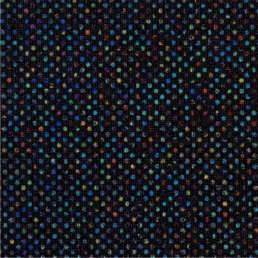 Hologram - Black/Black Digital